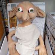 Dobby The Fent Elf