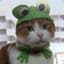 Froggy