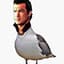 Steven Seagull