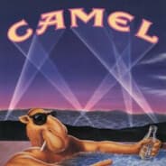Camel Joe