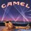 Camel Joe