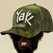 YAK_7