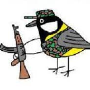 MilitanttiTalitintti