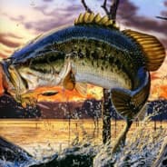 Basslegends
