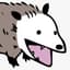 thedrunkpossum