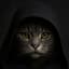 Darth Meowlius