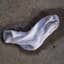 Wet Sock