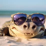 Croc Bandit