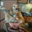 The meat grinding Doggo
