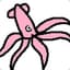 Squid