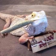 Mariguana