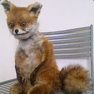 goptimus