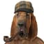 Chops O'Brian