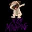 NZHMinipug