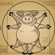 cochon warrior