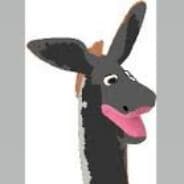 FloppyDonkey13