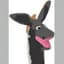 FloppyDonkey13