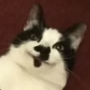Sasja