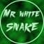 Mr.White Snake