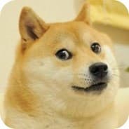 Dogetory