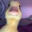 DuckMan