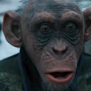 Onus of the War Apes