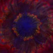 VoiD