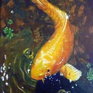Koi [ニシキゴイ]
