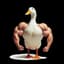 Strong Duck