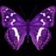 Sery