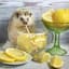 Lemonchelo