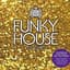[XIII]Funky