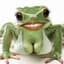 BustyFrog