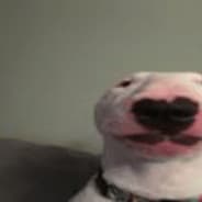 hOWdoIaiM