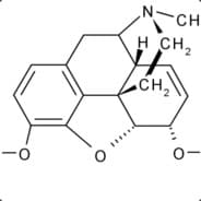 Corpseborne Diarrhea