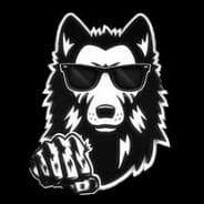 ➡ | ▶PleGuS