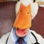 DrDuck37