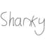 shanky