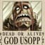 Go D. Usopp