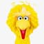 BigBird1427