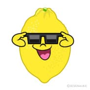 lemon squeezer