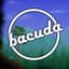 bacuda