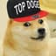 A0Xdoge