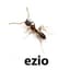 Ezio