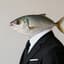 Mr.Fish