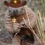 Pangolin Mac