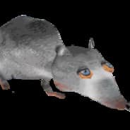 Rat VII