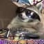 TheGoonRaccoon