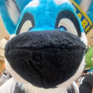 Tempestwoof