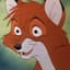 Foxy Tod